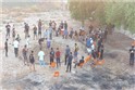 رقابت های کشتی ساحلی جوانان و بزرگسالان انتخابی خوزستان / شوشتر: